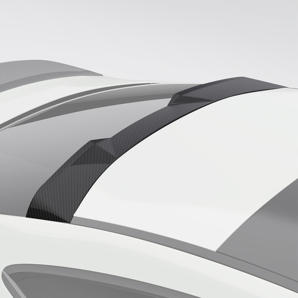 CLE C236 CARBON FIBER TOP SPOILER