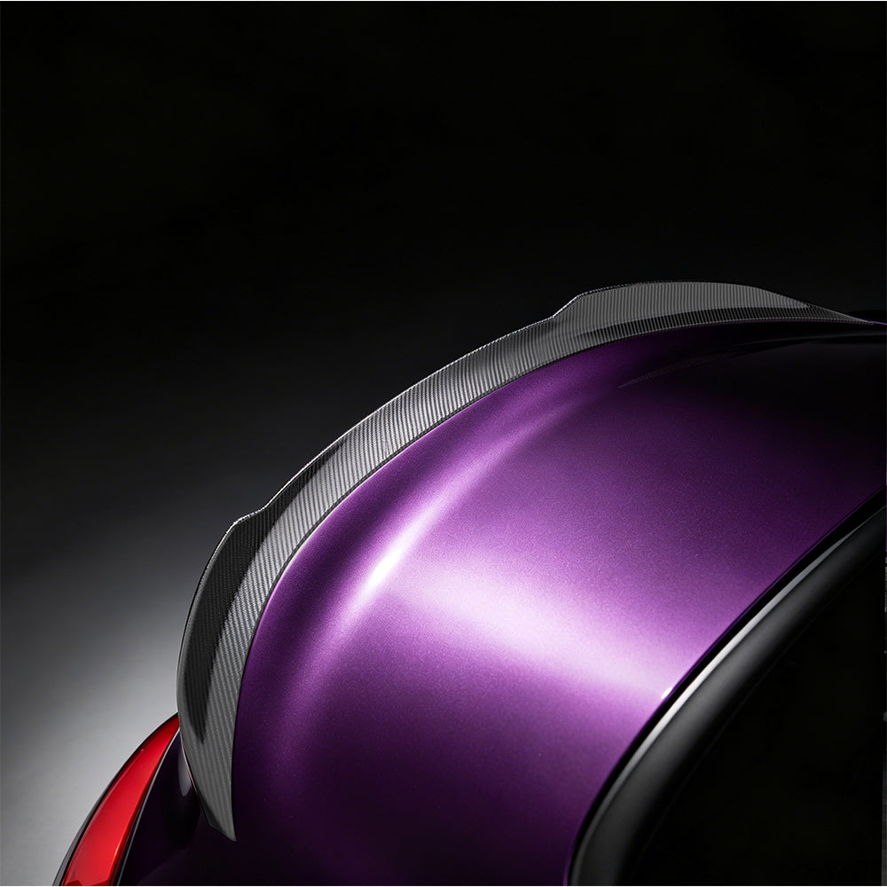 Z4 G29 Carbon Fiber Spoiler